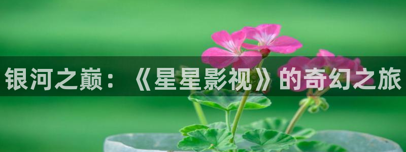 國產玖玖精品視頻：銀河之巔：《星星影視》的奇幻之旅