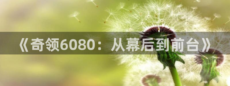 玖玖愛在線精品視頻：《奇領6080：從幕后到前臺》
