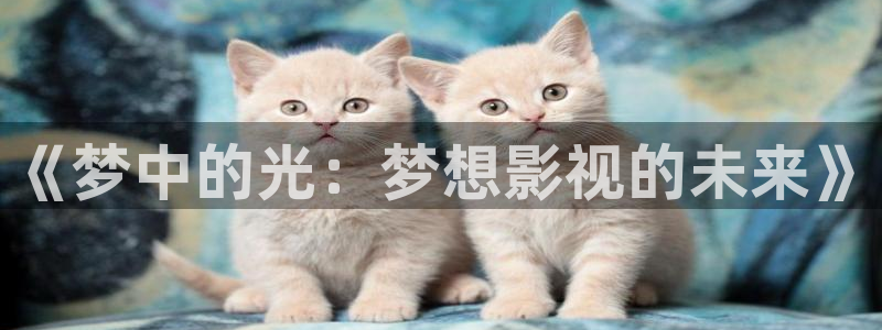 亞洲玖玖綜合視頻：《夢中的光：夢想影視的未來》